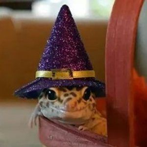 Meet your Posher, Val